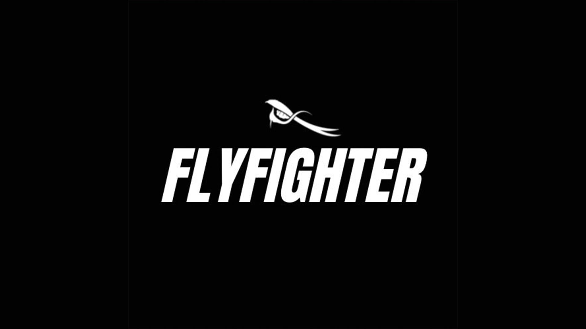 FLYFIGHTER